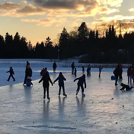Koehnke 7, Harzhahnenklee, 2-4 Pers *