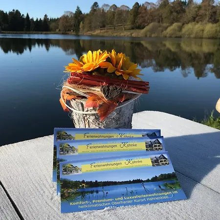 Harzfewo Koehnke 7 Lejlighed *